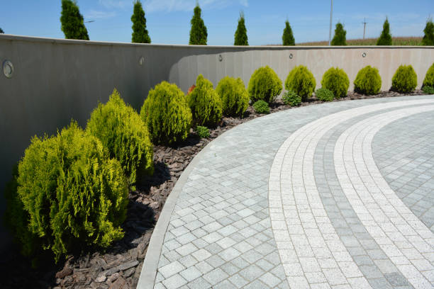 Best Residential Driveway Paver Services  in Clinton, NC